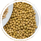 药食同源食疗方健脾养胃